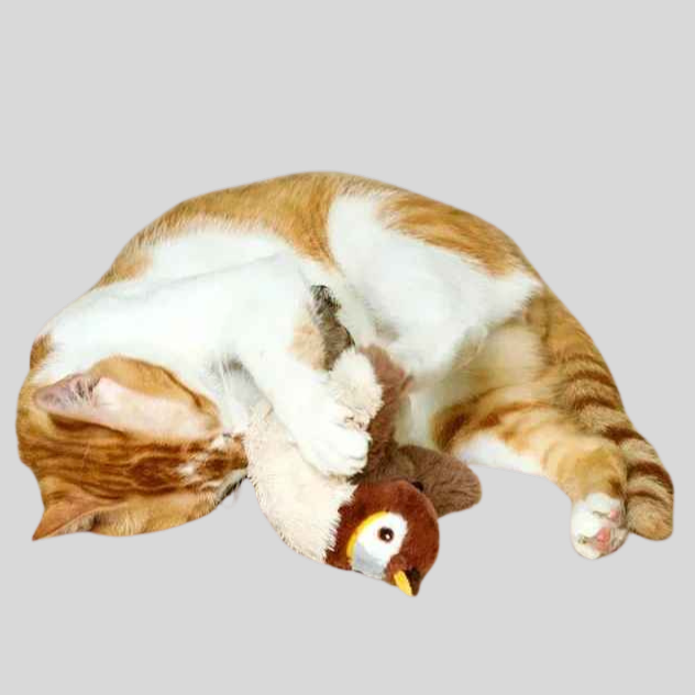 Oiseau interactif en peluche pour chat