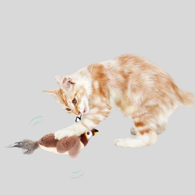 Oiseau interactif en peluche pour chat