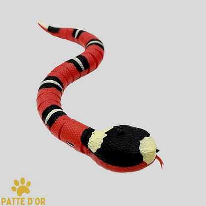 Serpent Interactif pour Chats
