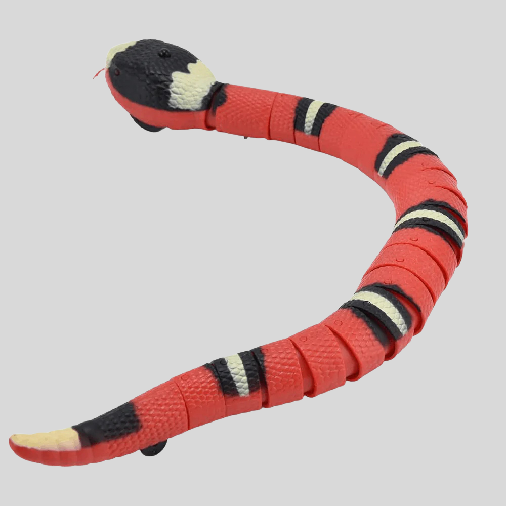Serpent Interactif pour Chats