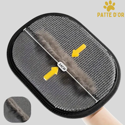 Gant Patte D'Or : Retirez tous les poils en un seul passage.