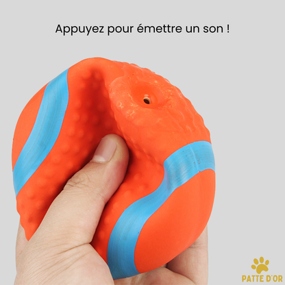 Balle Sport-Pro™ : La Balle Ultra-Résistante qui réveille l'instinct de votre chien !