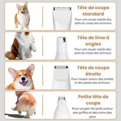 Tondeuse 4 en 1 pour chiens et chats