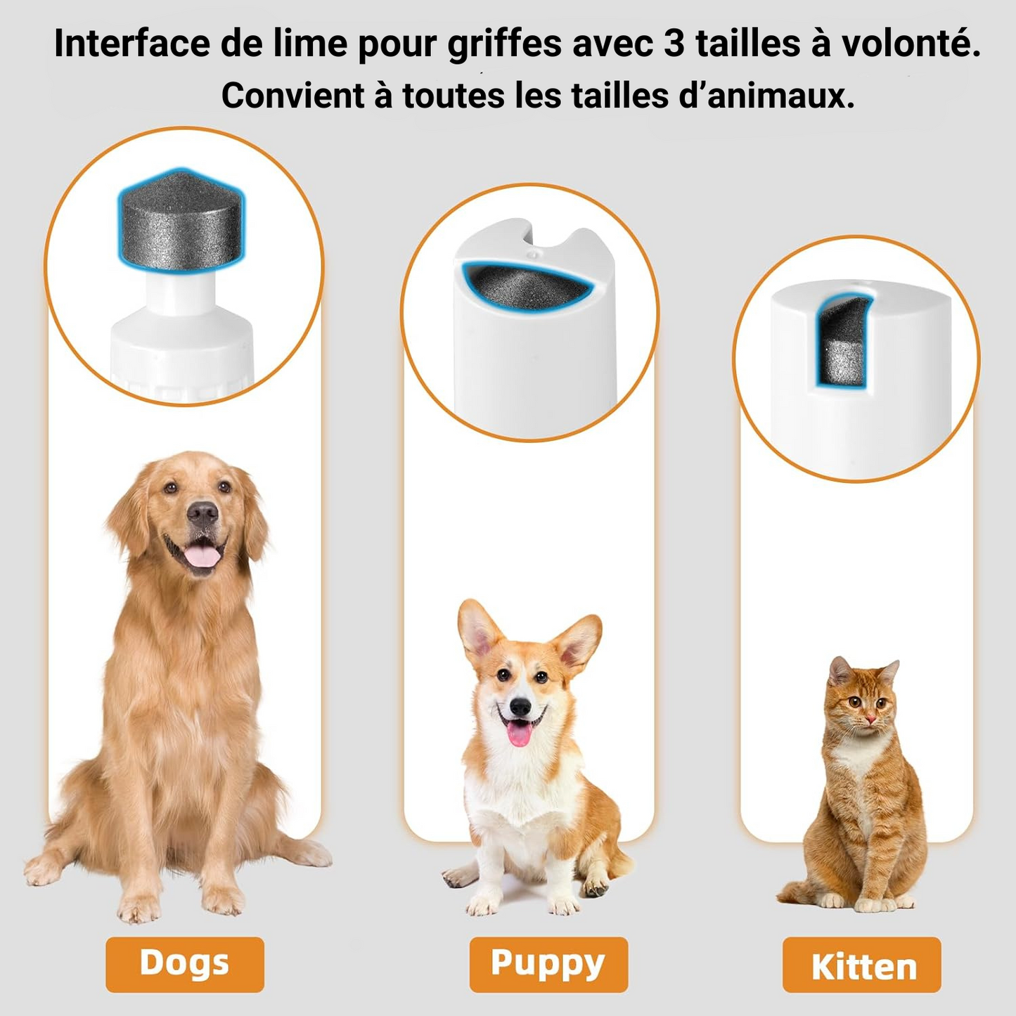 Tondeuse 4 en 1 pour chiens et chats