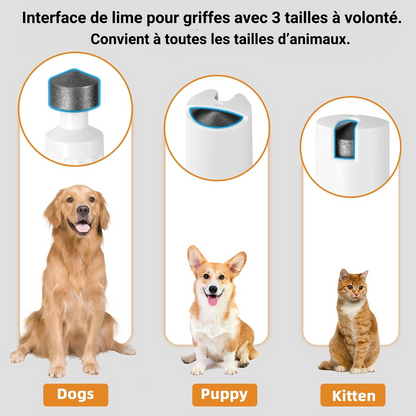 Tondeuse 4 en 1 pour chiens et chats