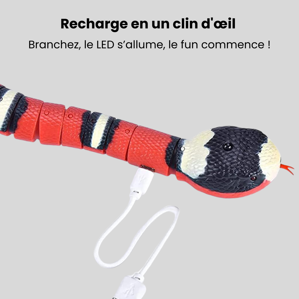 Serpent Interactif pour Chats