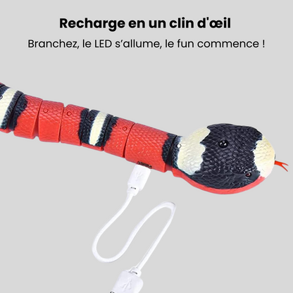 Serpent Interactif pour Chats