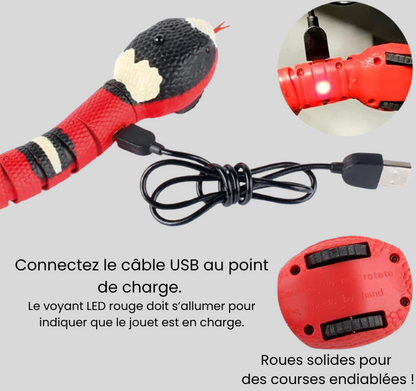 Serpent Interactif pour Chats