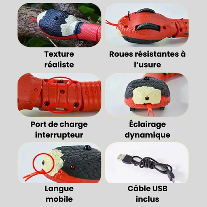 Serpent Interactif pour Chats