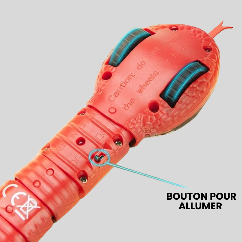 Serpent Interactif pour Chats